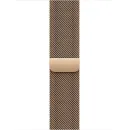 Apple Watch Series 10 46mm Gold Titanium Case with Milanese Loop, Gold
